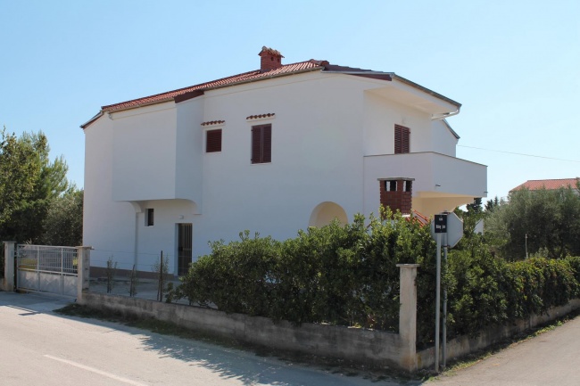 Overall view