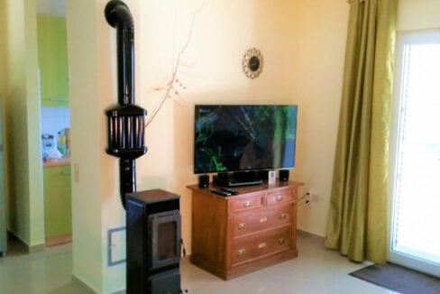 Wood burning stove in living room