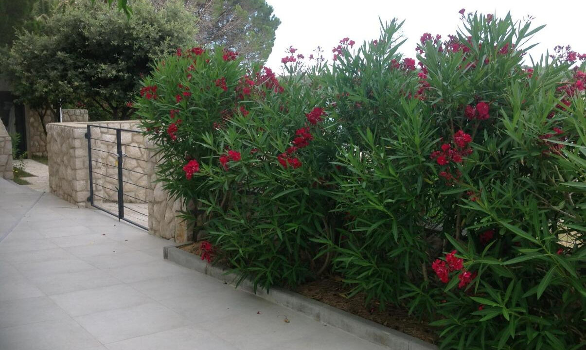 Erstaunliche Villa direkt am Meer auf der Insel Rab